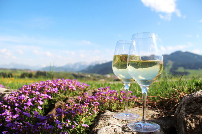 Zwei Gläser Weißwein vor Bergkulisse