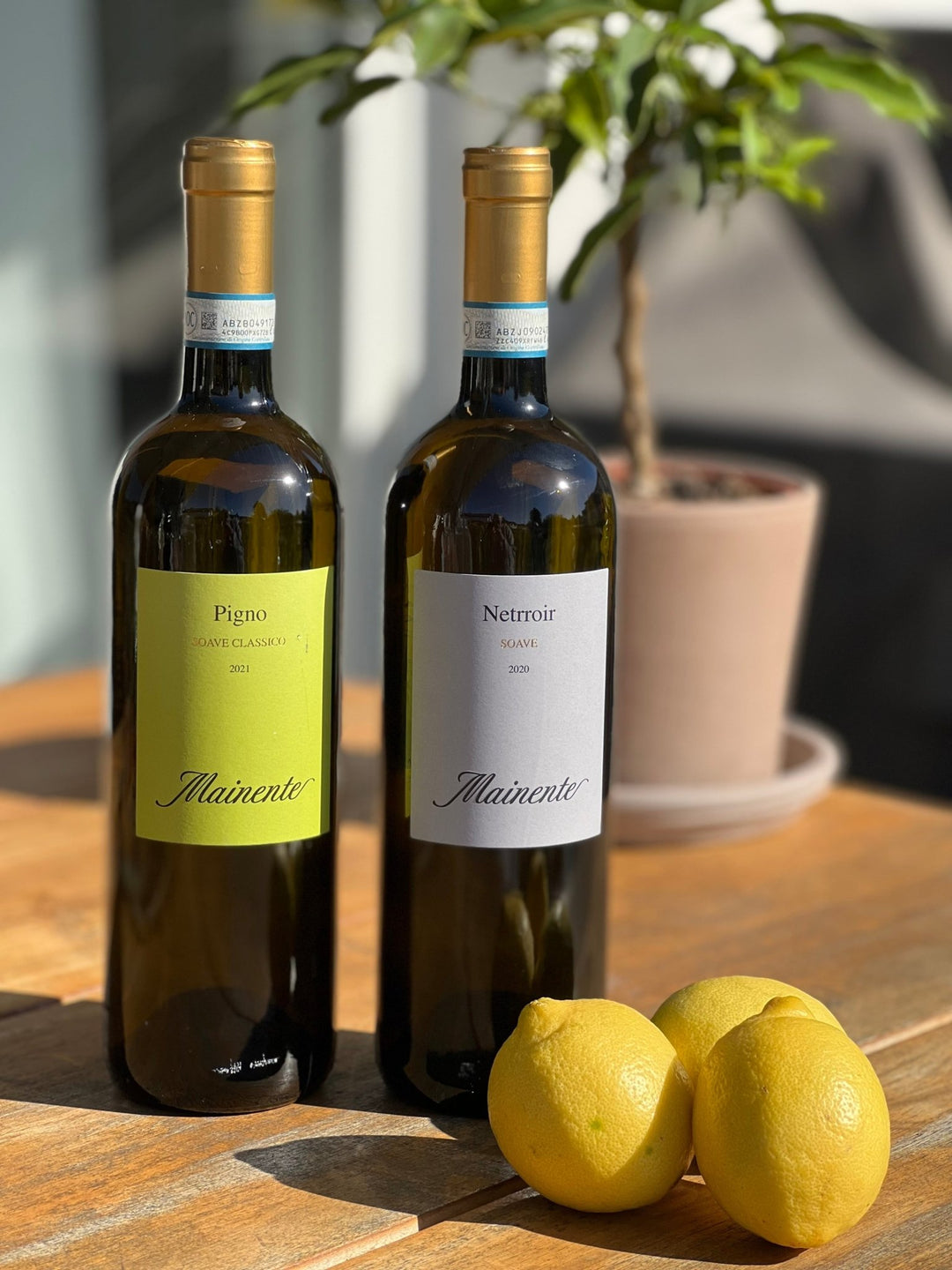 Cantina Corte Mainente, Soave Classico "Pigno", 2021 vor Tischdeko