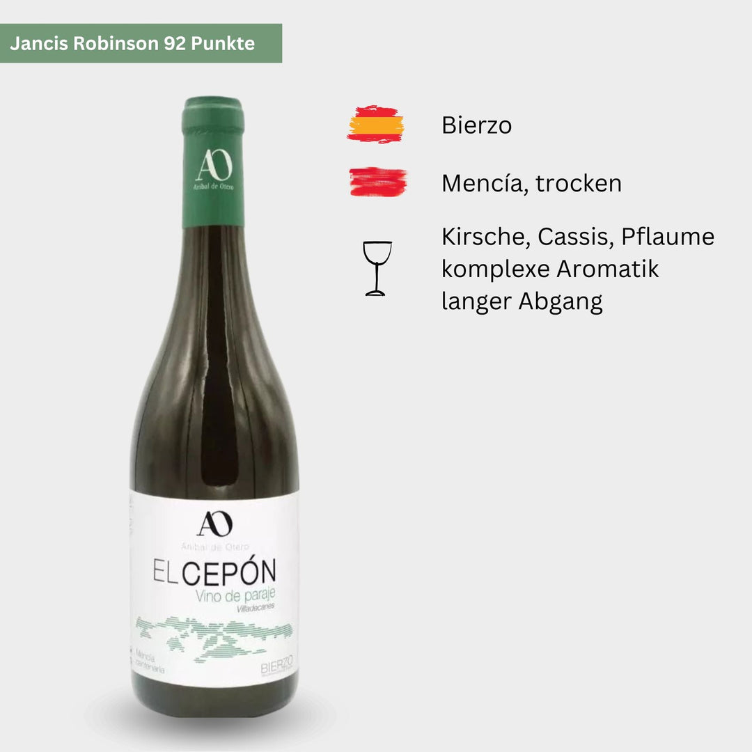 Anibal de Otero, "Cepón", 2020, Bierzo, Spanien - Weinwunder