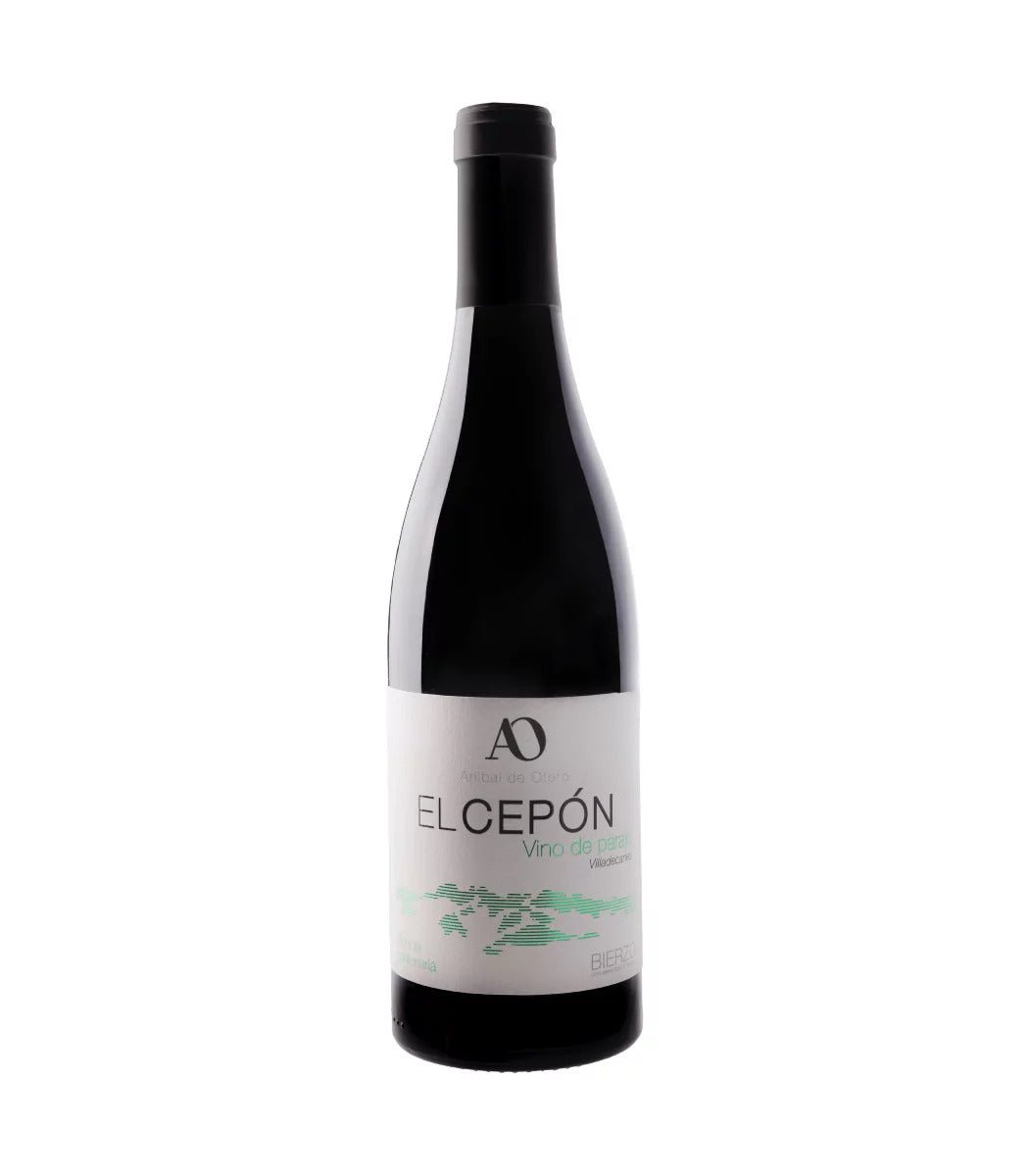 Anibal de Otero, "Cepón", 2020, Bierzo, Spanien - Weinwunder