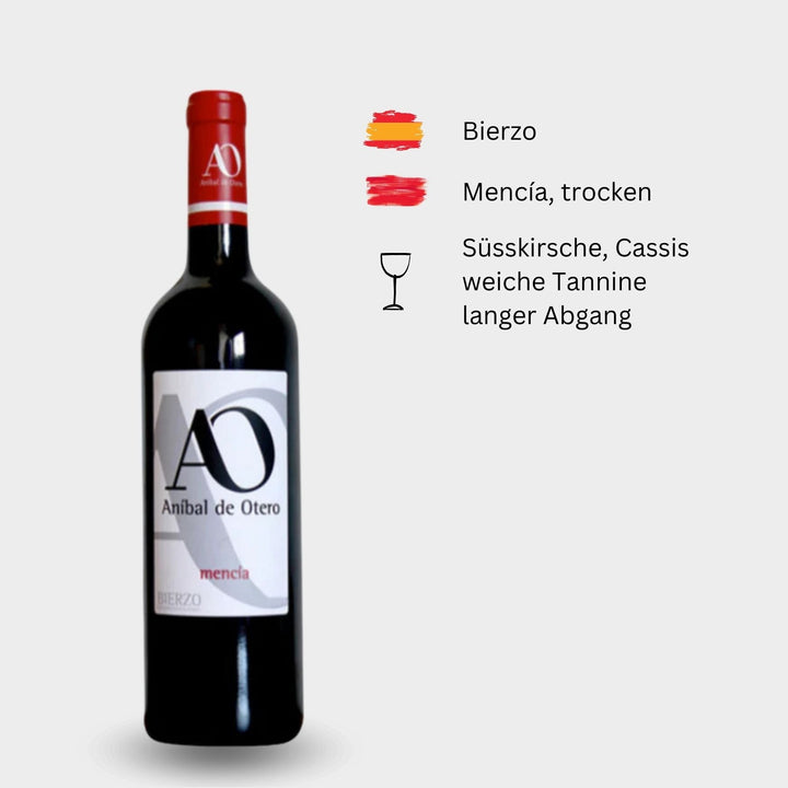 Anibal de Otero, "Mencía", 2020, Bierzo, Spanien - Weinwunder