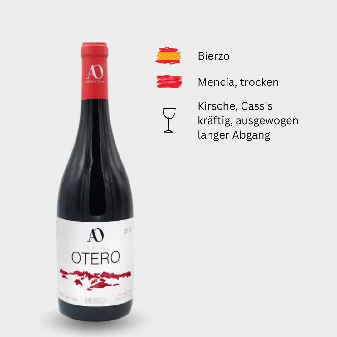 Anibal de Otero, "Villa Otero", 2019, Bierzo, Spanien - Weinwunder