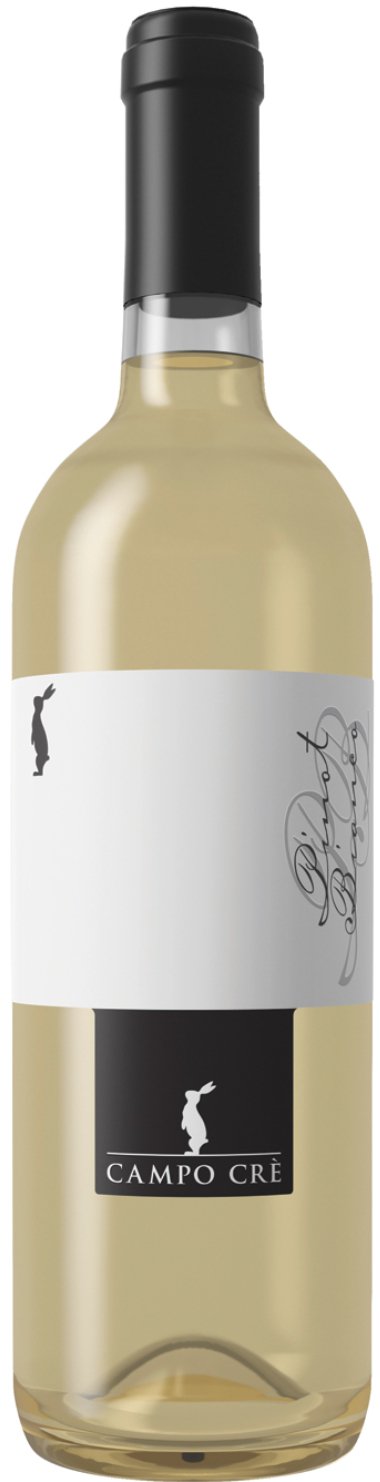 Casa Baccichetto, "Campo Cre Pinot Bianco ", 2023, Venetien, Italien - Weinwunder