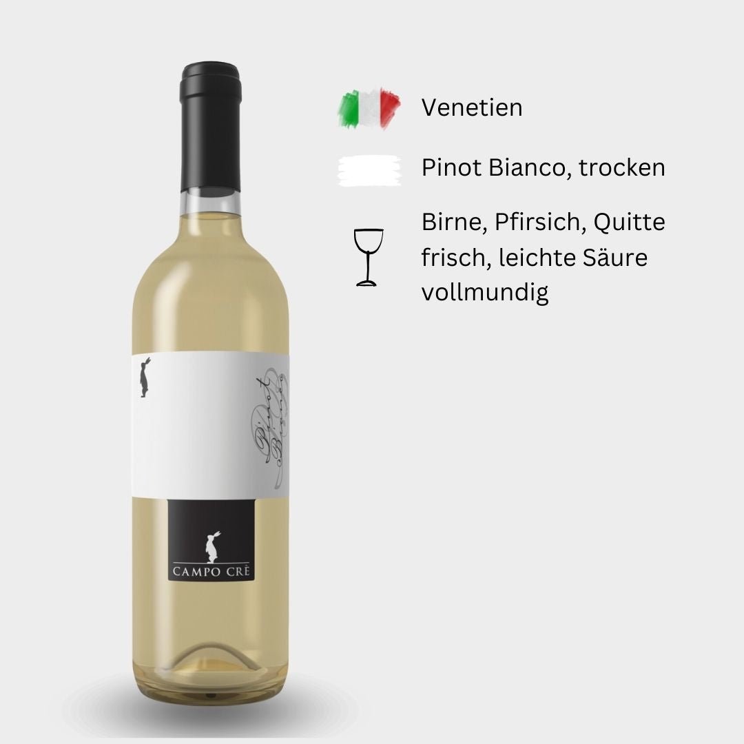 Casa Baccichetto, "Campo Cre Pinot Bianco ", 2023, Venetien, Italien - Weinwunder