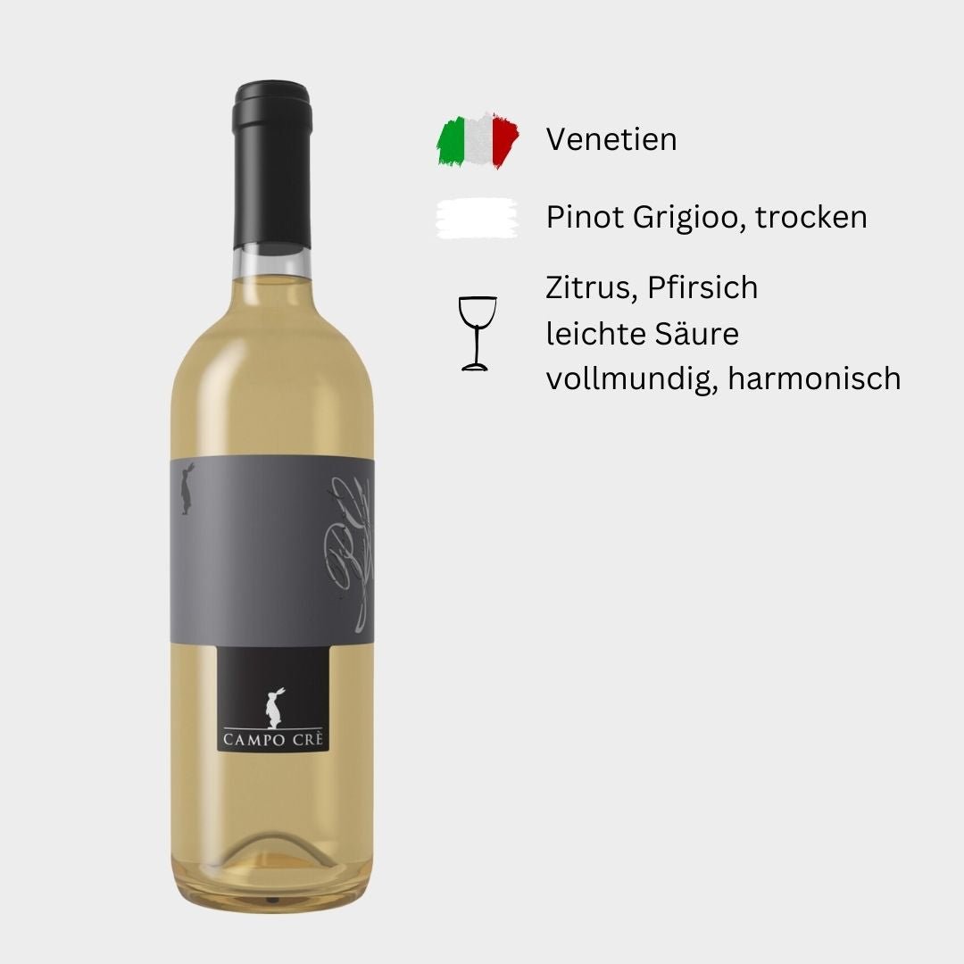 Casa Baccichetto, "Campo Cre Pinot Grigio", 2023, Venetien, Italien - Weinwunder