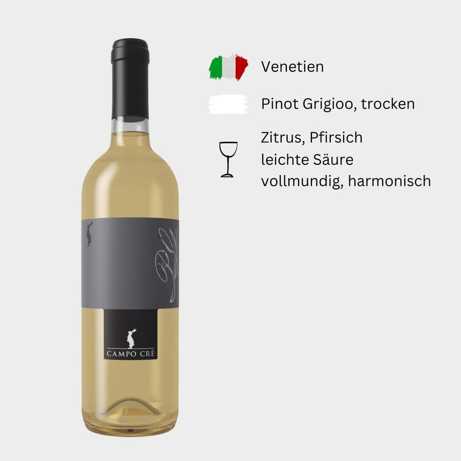 Casa Baccichetto, "Campo Cre Pinot Grigio", 2023, Venetien, Italien - Weinwunder