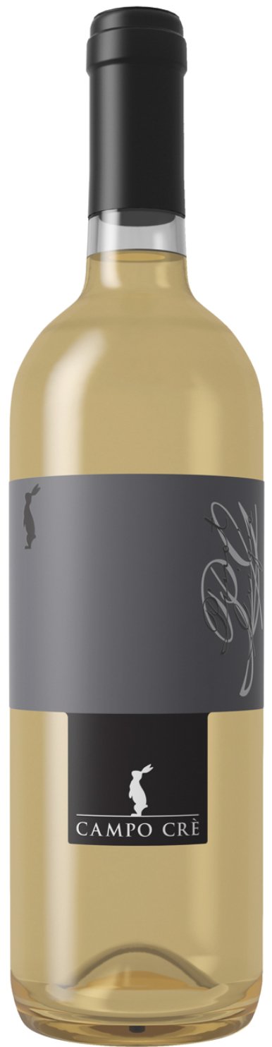 Casa Baccichetto, "Campo Cre Pinot Grigio", 2023, Venetien, Italien - Weinwunder