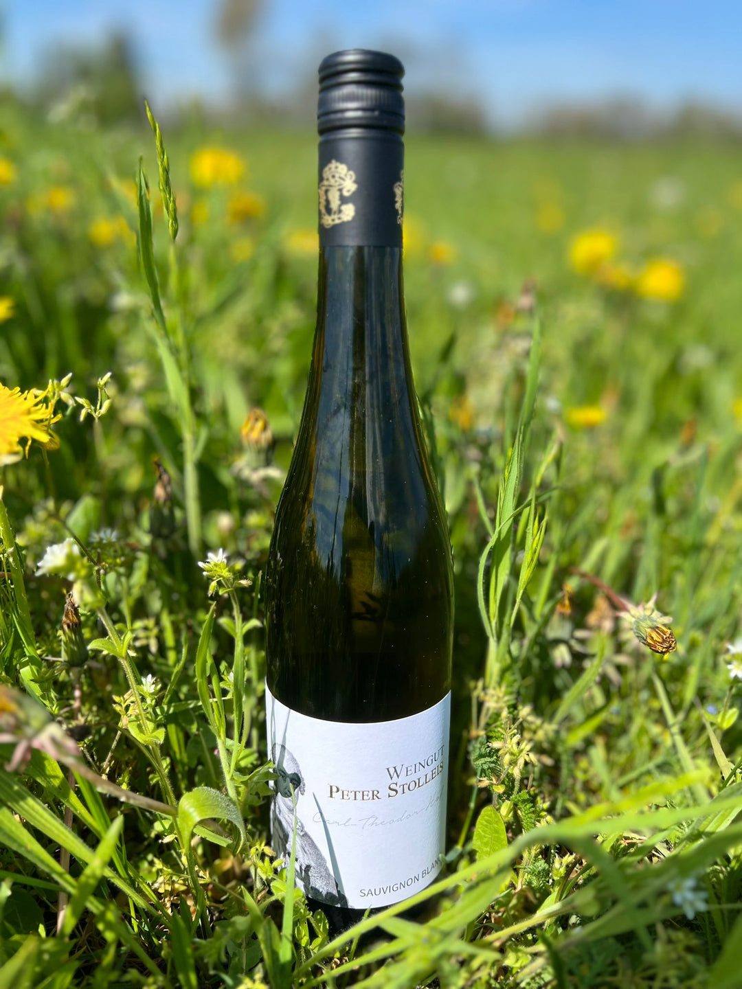 Weingut Peter Stolleis , "Sauvignon Blanc", 2021 - Weinwunder